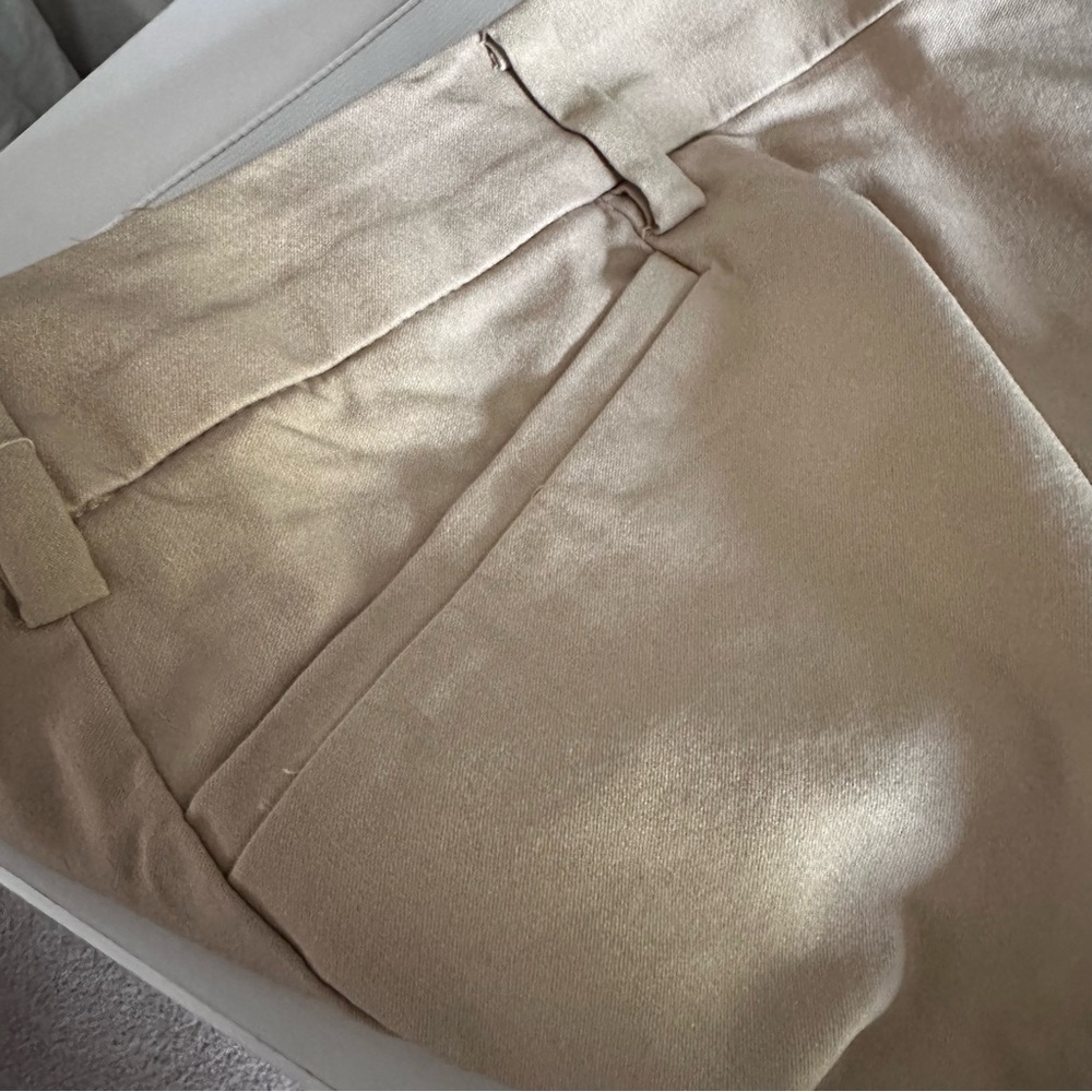 Lane Bryant Womens Flat Front Dress Pants Plus Size 26 Light Beige Pockets - Picture 4 of 12